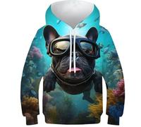 HIMKSRE Felpa con Cappuccio Future Cars con Stampa 3D for Ragazzi e Ragazze, Pullover, Felpe con Cappuccio e Tasche(Style-19,110)