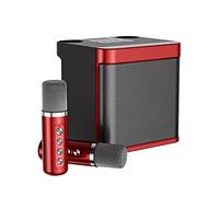 HIMS 100W YS-203 Altoparlante senza fili professionale portatile Karaoke doppio microfono