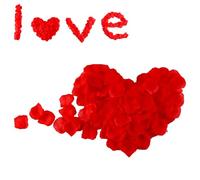 Hinapan 2000 petali di rosa artificiali, fiori di seta rossi, realistici, per San Valentino, compleanno, decorazione di nozze ed eventi romantici, inodore e riutilizzabili