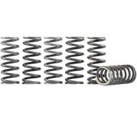 HINSON RACING CS095-6-001 HI-TEMP CLUTCH SPRING KIT KAWASAKI KFX 400 2X4 2003