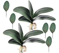 HinyoCo Foglia Orchidea Artificiale 26 cm Radici Dall'Aspetto Reale Piante Un Contatto Nel Lattice Verde Faux Leaf Arrangement (7)