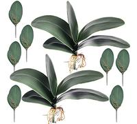 HinyoCo Foglia Orchidea Artificiale 26 cm Radici Dall'Aspetto Reale Piante Un Contatto Nel Lattice Verde Faux Leaf Arrangement (9)