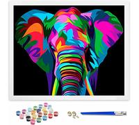 Hiolife Dipingere con i Numeri per Bambini e Adulti Principianti, Kit Regalo da Disegno per Bambini e Bambine, Gioco Creativo per Bambini 6+ Anni - 40x50 cm - Senza Cornice - Elefante