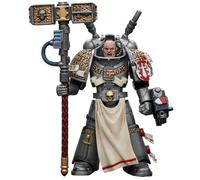 HiPlay JoyToy Warhammer 40K Collectible Figure: Grey Knights Interceptor Squad Interceptor Justicar 1:18 Scale Action Figures JT8964