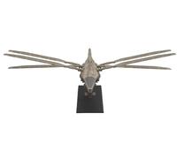 HiPlay MENG Plastic Model Kits: Harkonnen Ornithopter, Figure da collezione di assemblaggio di separazione del colore senza colla (MMS-014)