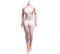 HiPlay TBLeague Femmina Senza Cuciture S28B Medio Busto Tipo Leggermente Corpulento Pelle Scura Testa Rimovibile Piedi Staccabili 1/6 Scala Corpo Figura d'Azione