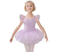 HIPPOSEUS Ragazza Vestito da Balletto Tutu Body Danza Bambina Classica Balletto Abito Manica Corta,Y-04WDM-Viola, 5 anni