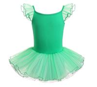 HIPPOSEUS Ragazza Vestito da Balletto Tutu Body Danza Bambina Classica Balletto Abito Manica Corta,Y-04WDM-Foglie Verde,2-3anni