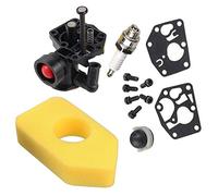 Hippotech 795477 - Filtro aria carburatore e 698369 per 795469 794147 699660 794161 498811