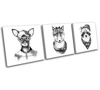 Hipster Toy Terrier Fox Raccoon Vintage TREBLE TELA parete arte foto stampa
