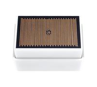 Hipzeepo Sensore di Rilevamento Della Wireless da Esterno Tuya ZigBee Smart, Rilevatore di Perdite D'Acqua e Allagamenti, Impermeabile IPX4, Alimentato A Batteria.