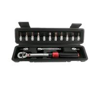 Hipzeepo Set di Chiavi Dinamometriche per Bicicletta A Doppia Direzione da 1/4 di Pollice, Kit di Strumenti per La Riparazione di Biciclette da 15 Pezzi con Chiavi A Brugola, Bussole e Chiave per Moto