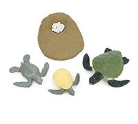 Hiraith Simulazione del Ciclo di Vita degli Animali Modello Giocattolo per Bambini, Modellatura Integrata Che Non Sbiadisce, Lavabile con Acqua, Apprendimento Giocando, (ciclo di crescita delle