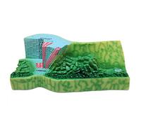 HIRNER Modello Modello Didattico Foglia Sezione Trasversale Struttura Modello Biologia Modelli Didattici Pianta Anatomia Modello Adolescenti Scienza Aula Studio per insegnare