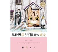 Hiro Kashiwaba The Otherworldly Cat And The Grumpy Witch (Tascabile)