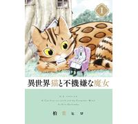 Hiro Kashiwaba The Otherworldly Cat And The Grumpy Witch (Tascabile)