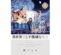 Hiro Kashiwaba The Otherworldly Cat And The Grumpy Witch (Tascabile)
