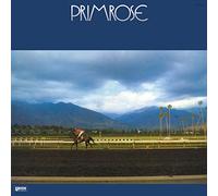 Hiromasa Suzuki Trio - Primrose