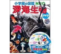 Hiromitsu Endo Deep Sea Creatures (Dvd Included) (Tascabile)