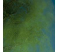 Hiroshi Ebina - Into The Darkness Of The Night [Vinyl LP] [VINYL]