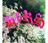 Hirs Collective We're Still Here (Vinyl LP)