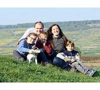 Hirsch Grüner Veltliner Ried Grub 1. Lage Kamptal - 2020