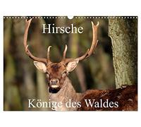 Hirsche - Könige des Waldes/Geburtstagskalender (Wandkalender 2026 DIN A3 quer), CALVENDO Monatskalender: Hirsche. Die Könige in den Wäldern. Majestätisch und schön.