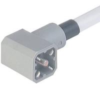 Hirschmann Spina con Cavo iniettato Grigio G 30 KW M Pole:3 + PE 931 783-001-1. Contenuto: