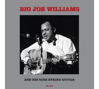 & His Nine String Guitar - Big Joe Williams (Vinile)