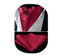 HISDERN Cravatta Uomo Ascot Floreale Paisley Cravatta E Fazzoletto Da Taschino Set Di Cravatte Fazzoletto Jacquard Per Matrimonio Festa Elegante,Rosso,Taglia unica