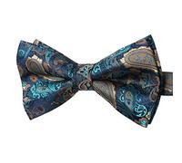 HISDERN Papillon Uomo Verde e Oro con Motivo Paisley già Annodato e Regolabile Eleganti Cravatta a Farfalla in Tinta Unita Farfallino da Smoking