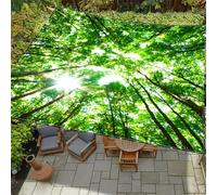 Hiseng Tenda a Vela Ombreggiante Impermeabile Rettangolo, Stampe di Paesaggi Vele Parasole da Giardino Protezione Raggi UV 95% Telo Ombreggiante Terrazzo Telo Ombra (Foresta,1.5x1.5m)