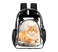 Hiseng Zaino Trasparente per Scuola, Lavoro e Concorsi (Gatto arancione,43X32.5cm)