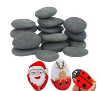 Hisredsun - Roccia per pittura da 16pcs, rocce per lavori artistici e creativi, lisci, grandi ciottoli, pietra naturale del fiume