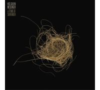 Hiss Golden Messenger Terms of Surrender (Vinyl LP) 12" Album