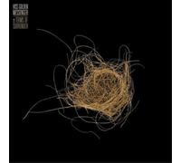 Hiss Golden Messenger Terms of Surrender (Vinyl LP)