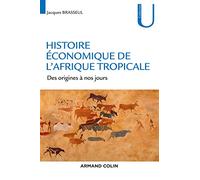 Histoire économique de l'Afrique tropicale: Dès origines à nos jours