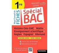 Histoire-Géo-EMC + Maths + Enseignement scientifique + Anglais + Espagnol + Allemand: Tout le programme en 225 fiches : cours ultra-visuel, mémos, schémas-bilans, exercices et QCM