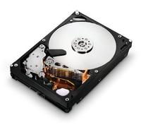 Hitachi Deskstar 7K1000.C 1TB 1000GB Seriale ATA II