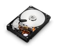 Hitachi HUA722010CLA330 adattatore e invertitore