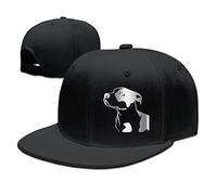 Hittings Pitbull Platinum stile baseball snapback nero