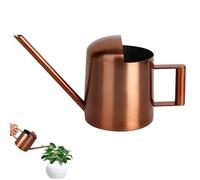 HIULLEN Annaffiatoio da 300 ml, per piante da interno, mini annaffiatoio piccolo in acciaio inox, beccuccio lungo, per interni, ufficio, casa, giardino, balcone, piante grasse (bronzo)