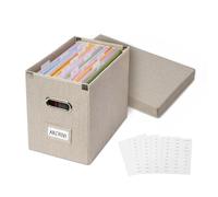 Hiwhy Scatola Portadocumenti con 15 Cartelle Sospese, Coperchio Asportabile, Barre Scorrevoli in Acciaio Inox, Etichette Adesive, Organizzatore da Scrivania Pieghevole per Ufficio e Casa
