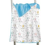 Hixingo Coperta Estiva per Bambini, Stampa Animale Coperte Minky Morbido per Culla e Carrozzine, Copertina per Ragazze Ragazzi e Neonati, Ideale Come Regalo (Cane cartone animato,73x102cm)