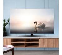 Hixingo Copertura TV Antipolvere, Motivo Oca Copri Televisore Copertura Televisore Cover TV Copri TV Protezione TV Universale Elastica Custodia Protettiva TV (40-43inch,Acqua di lago)