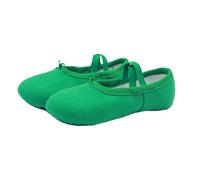 Hixingo Scarpe Danza Classica Donna, Scarpe da Ballo Donna Mezze Punte Danza Classica Tela Scarpette da Ballo Mezze Punta Suola Spezzata (Verde,38)