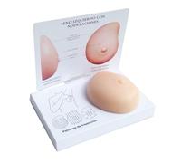 hixswnu Modello anatomico del Seno in Silicone per l'educazione al Cancro, l'interazione paziente-Medico, la Pratica Medica e l'autoesame con rappresentazione di noduli patologici