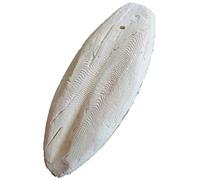 HiyyFloy Osso di Seppia per Parrocchetti, Osso Coccole Naturale, Osso di Seppia Masticare per Becchi Affilati, Uccelli Naturali Adatti per Pappagalli Calopsitte Pappagalli