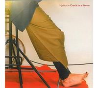 Hjaltalin - Crack In A Stone (2 LP)