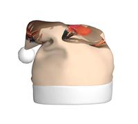 HJFCZH Cappello di Natale con immagine di granchio per prendere il sole per adulti accessorio di qualità morbido, leggero e soffice